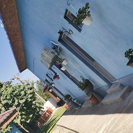 Casa Andrei A Hotel Corbu  Exterior photo